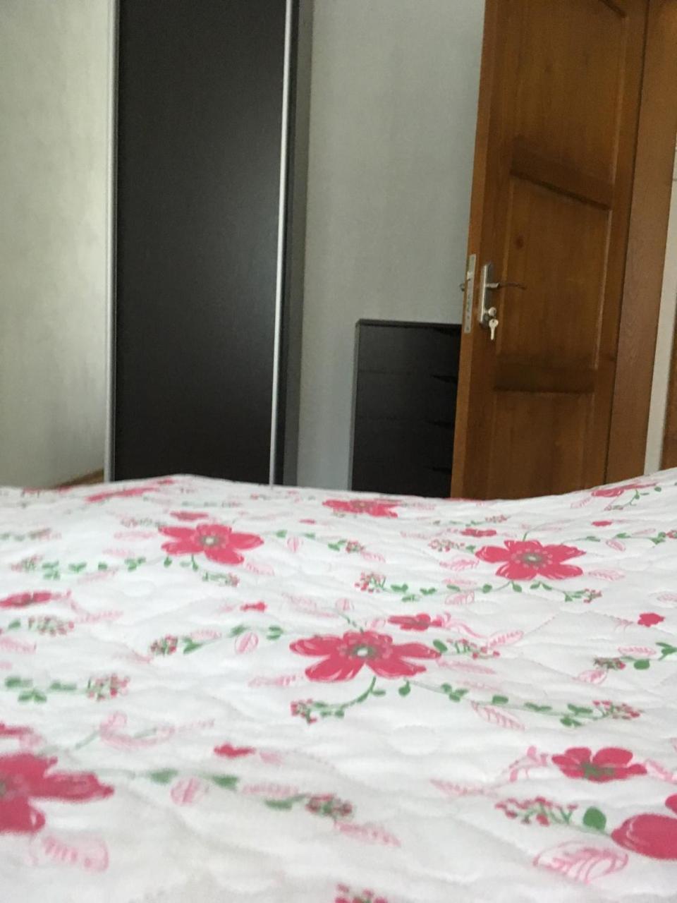 Apartaments In Karpaty Mizhhirya  Kültér fotó